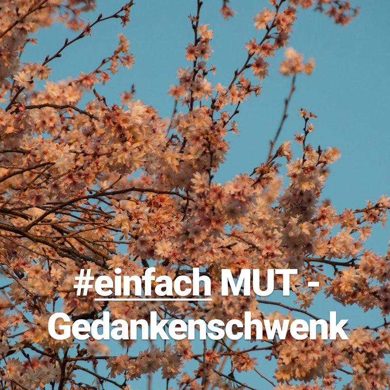 #einfach MUT - Gedankenschwenk