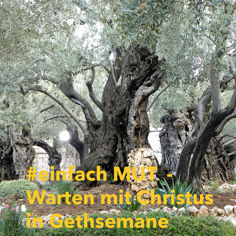 #einfach MUT - Wachen mit Christus in Gethsemane