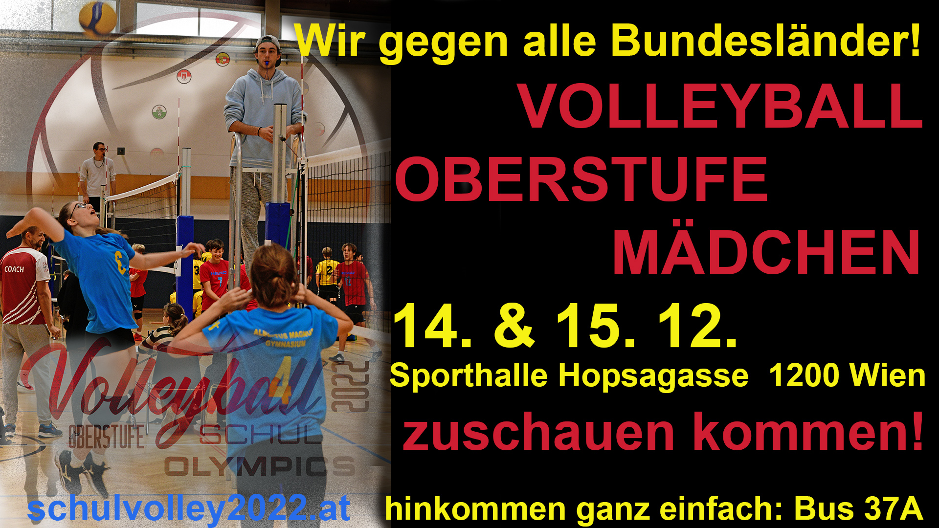 Volleyball School Olympics 2022 in der Albertus Magnus Schule Wien